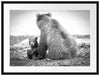Bär mit Baby nach dem Baden Passepartout 80x60