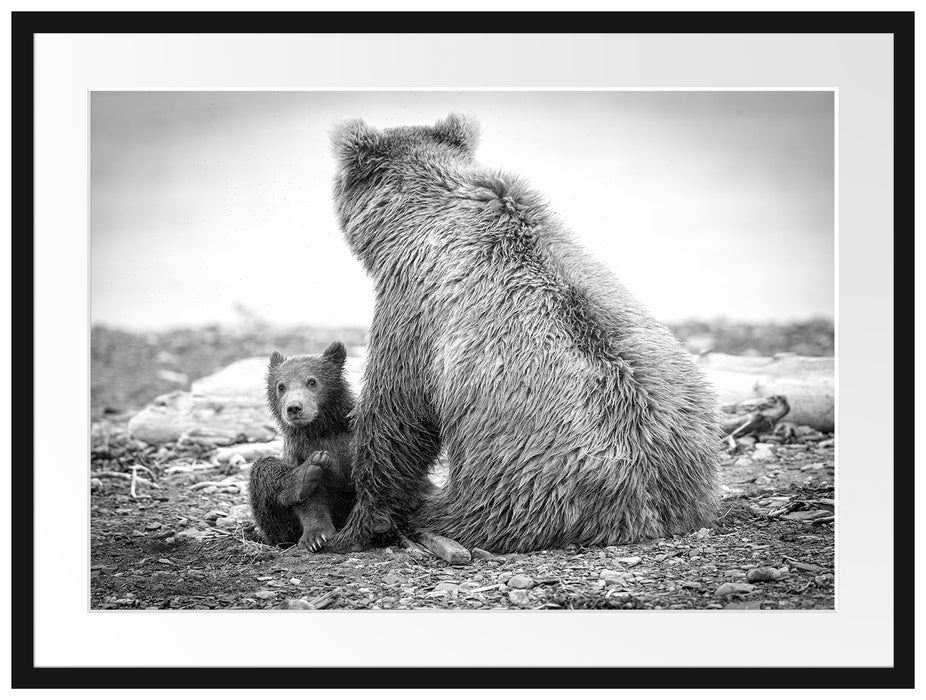 Bär mit Baby nach dem Baden Passepartout 80x60