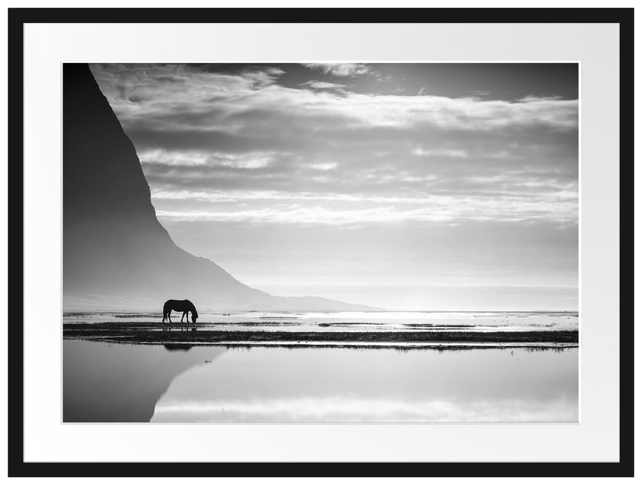 Pferd am Ufer einer Insel Passepartout 80x60
