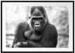 gelangweilter Gorilla Kunst B&W Passepartout 100x70