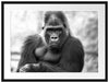 gelangweilter Gorilla Kunst B&W Passepartout 80x60
