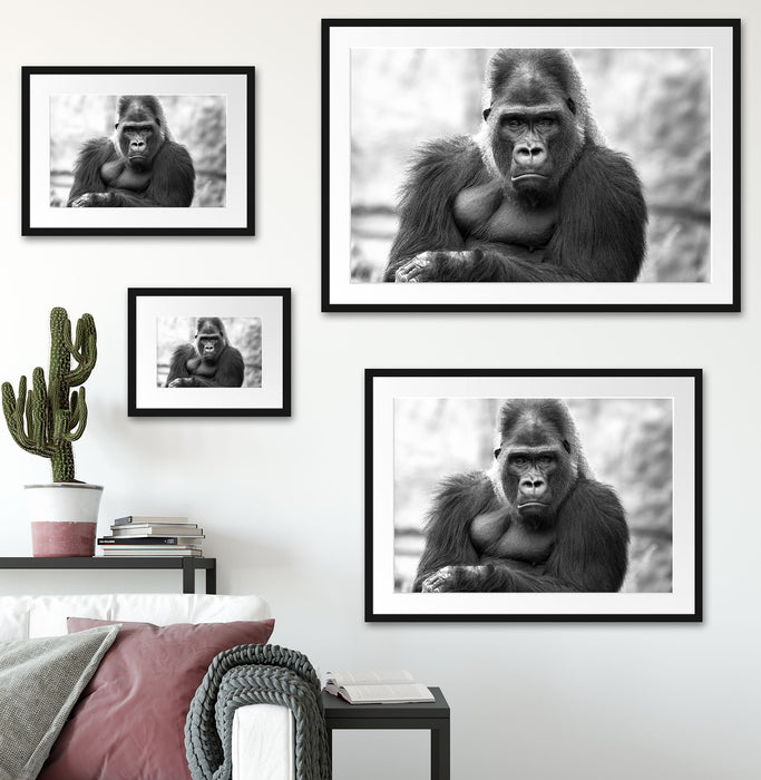 gelangweilter Gorilla Kunst B&W Passepartout Dekovorschlag