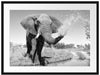 Elefant spritzt mit Wasser Passepartout 80x60