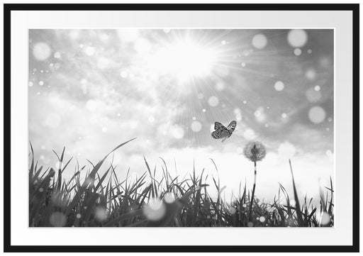 Schmetterling fliegt zu Pusteblume Passepartout 100x70