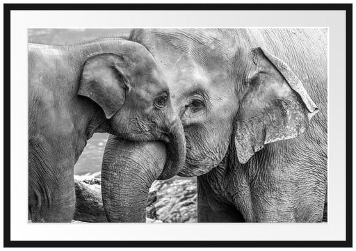 Elefantenmutter mit Kalb B&W Passepartout 100x70