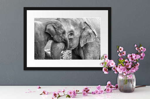 Elefantenmutter mit Kalb B&W Passepartout Wohnzimmer