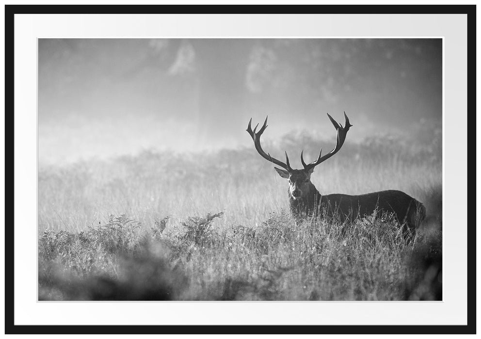 Pixxprint Rotwild Hirsch im Nebel Kunst B&W, im Galerie-Passepartout Bilderrahmen