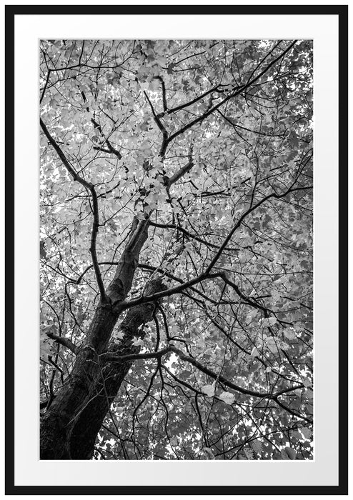 Pixxprint Feurige Herbstblätter Kunst B&W, im Galerie-Passepartout Bilderrahmen