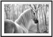 Einhorn im Wald Passepartout 100x70