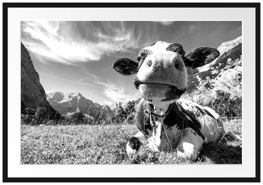 Kuh im Karwendelgebirge Kunst B&W Passepartout 100x70