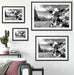 Kuh im Karwendelgebirge Kunst B&W Passepartout Dekovorschlag