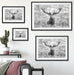 Großer Hirsch im Feld Kunst B&W Passepartout Dekovorschlag