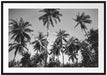 Tropische Palmen Kunst B&W Passepartout 100x70