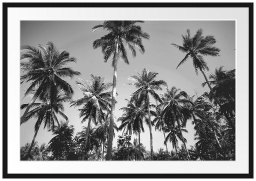 Tropische Palmen Kunst B&W Passepartout 100x70