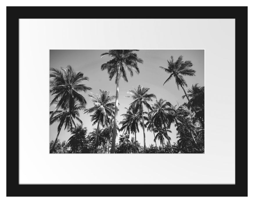 Tropische Palmen Kunst B&W Passepartout 38x30