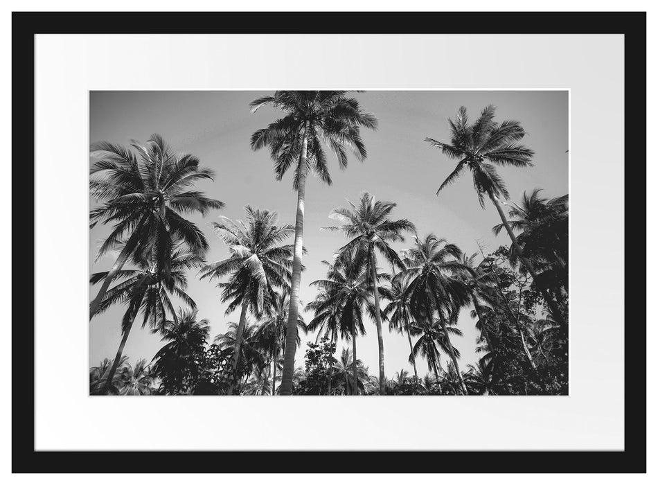Tropische Palmen Kunst B&W Passepartout 55x40