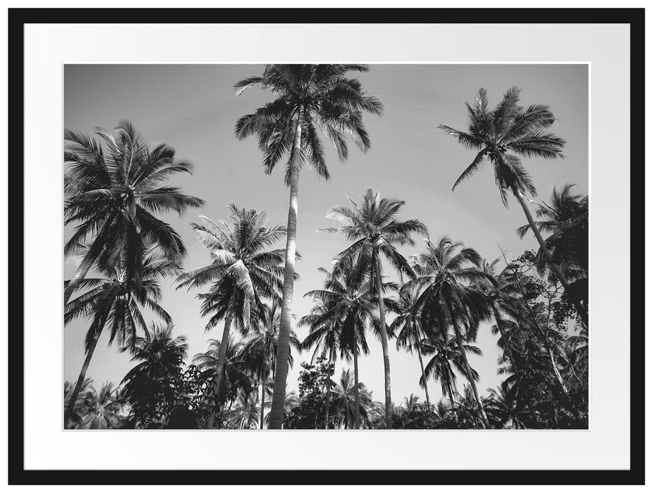 Tropische Palmen Kunst B&W Passepartout 80x60