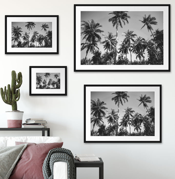Tropische Palmen Kunst B&W Passepartout Dekovorschlag