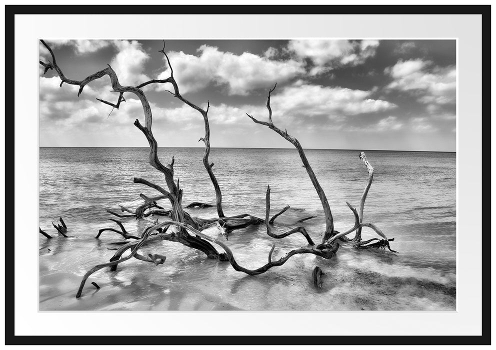 Pixxprint Strand Meer Havanna Kuba, im Galerie-Passepartout Bilderrahmen