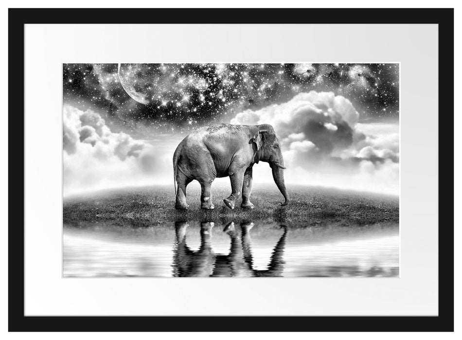 Elefant, Wiese, Himmel, Afrika Passepartout 55x40