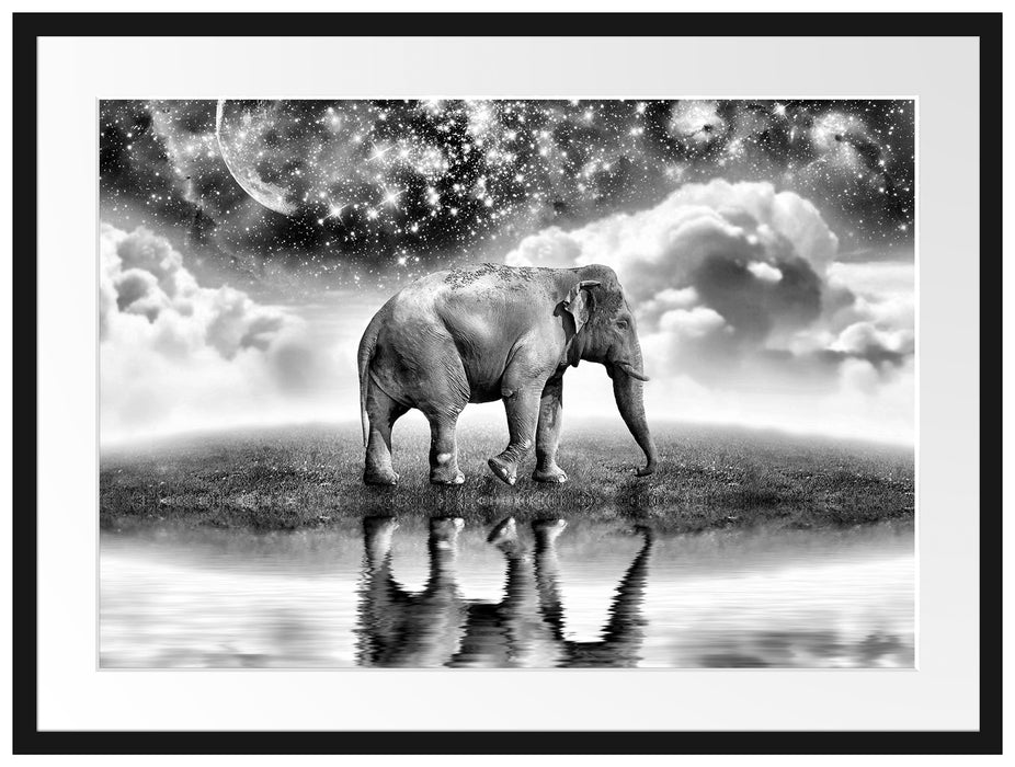 Elefant, Wiese, Himmel, Afrika Passepartout 80x60