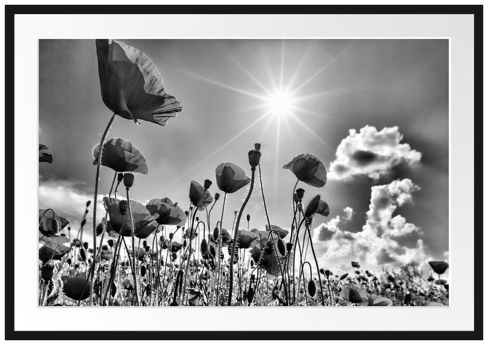 Pixxprint Mohnblumen, im Galerie-Passepartout Bilderrahmen