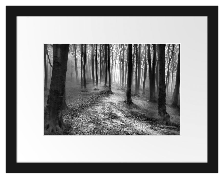 Düstere Landschaft schwarz weiß Passepartout 38x30