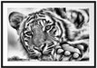 Tiger Passepartout 100x70