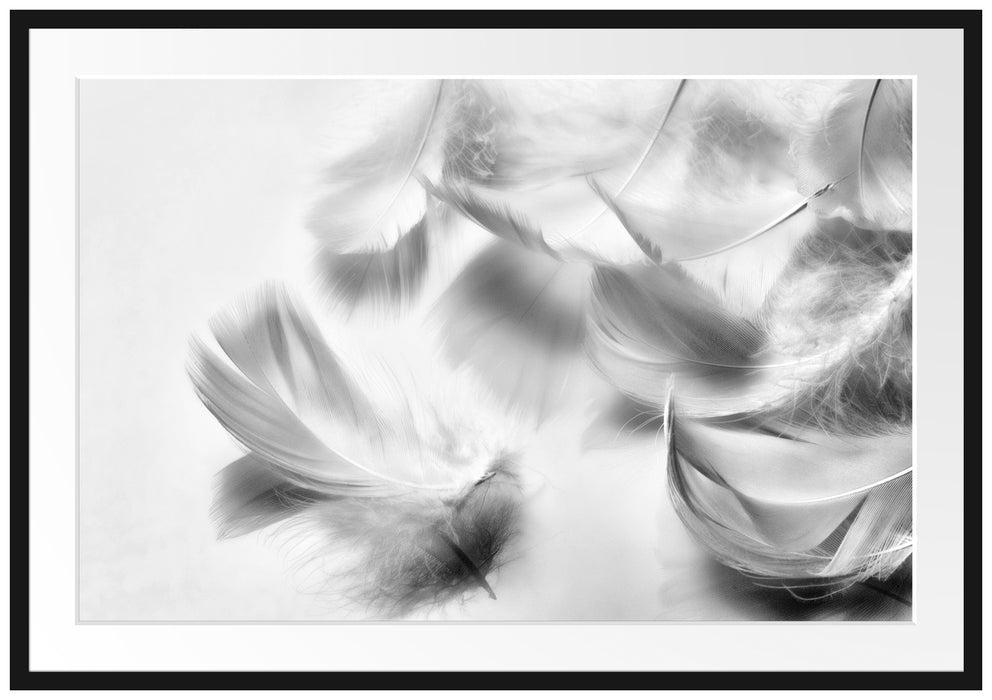 Pixxprint Weiße Feder auf schwarzem Stein, im Galerie-Passepartout Bilderrahmen