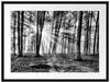 Waldlichtung im Sonnenschein Passepartout 80x60
