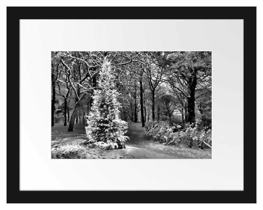 Leuchtender Weihnachtsbaum Passepartout 38x30
