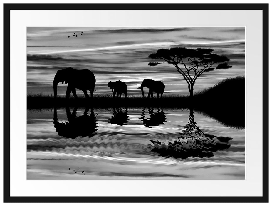 Afrika Elefant in Sonnenschein Passepartout 80x60