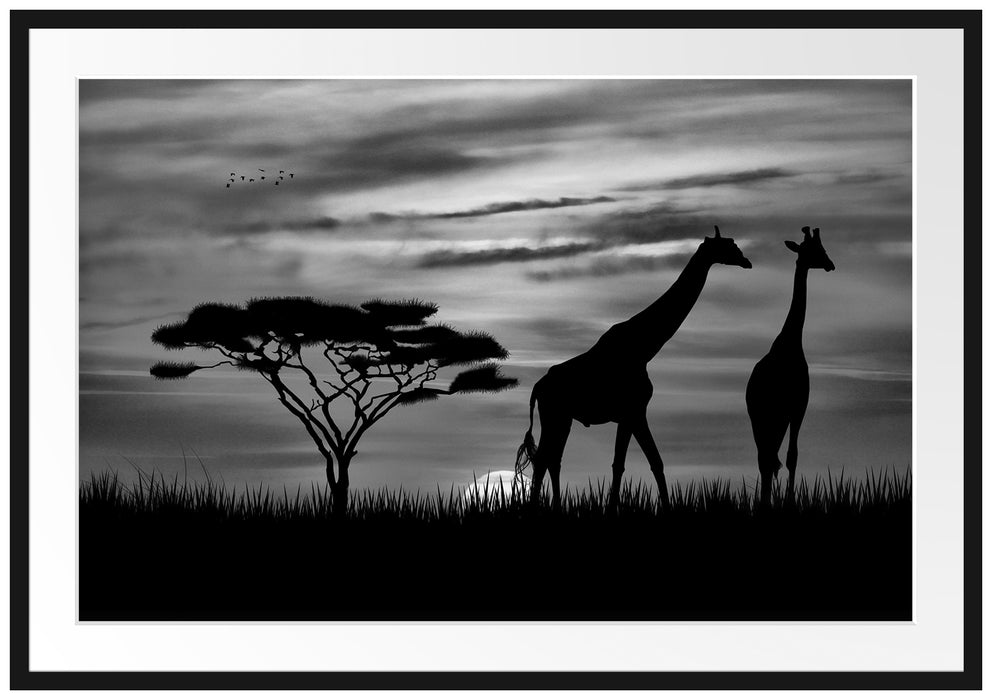 Pixxprint Afrika Giraffen im Sonnenuntergang, im Galerie-Passepartout Bilderrahmen