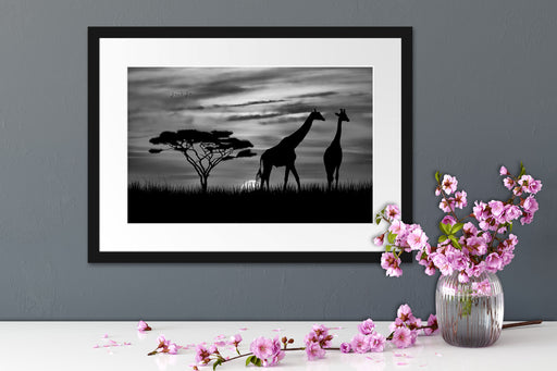 Afrika Giraffen im Sonnenuntergang Passepartout Wohnzimmer
