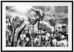 Blumenwiese Passepartout 100x70