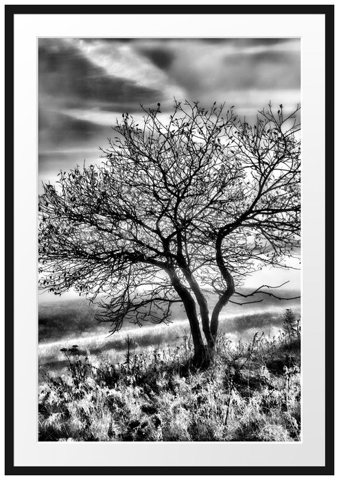 Pixxprint Baum im Gras, im Galerie-Passepartout Bilderrahmen