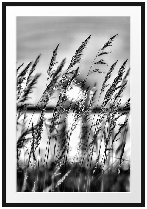 Pixxprint Sonne zwischen Gräsern, im Galerie-Passepartout Bilderrahmen