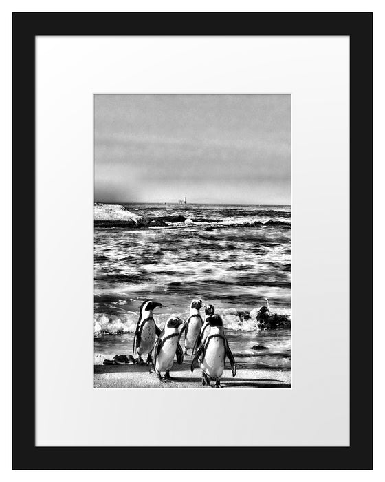 Pinguine am Strand Passepartout 38x30