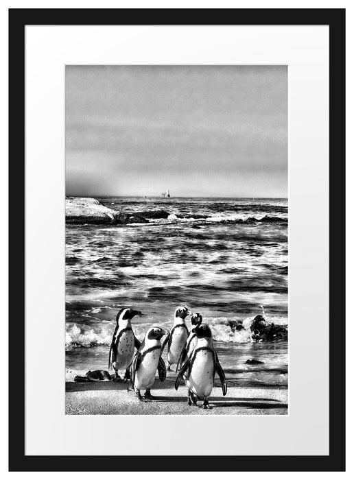 Pinguine am Strand Passepartout 55x40