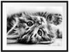 Süßes Katzenbaby Passepartout 80x60