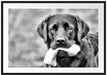 schwarzer Labrador mit Spielzeug Passepartout 100x70
