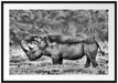 großes Nashorn in der Savanne Passepartout 100x70