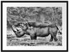 großes Nashorn in der Savanne Passepartout 80x60