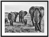 große wandernde Elefantenhorde Passepartout 80x60