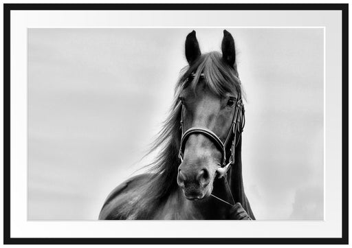 Schönes Pferd Passepartout 100x70