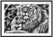 Löwenvater kuschelt mit Jungtier Passepartout 100x70