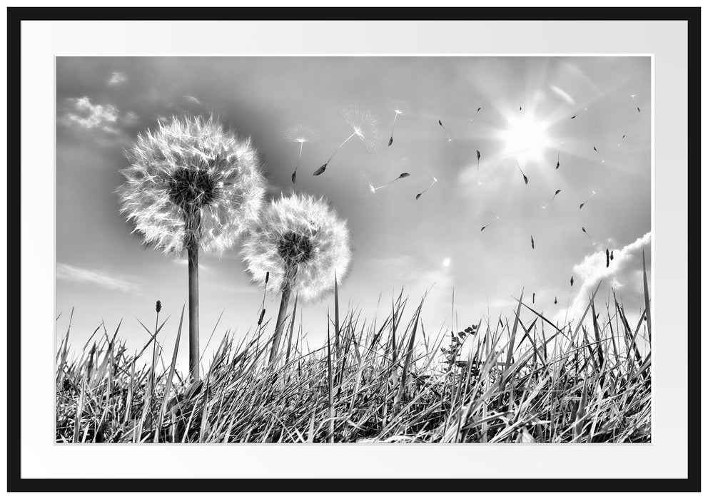 Pixxprint Pusteblumen auf Frühlingswiese, im Galerie-Passepartout Bilderrahmen