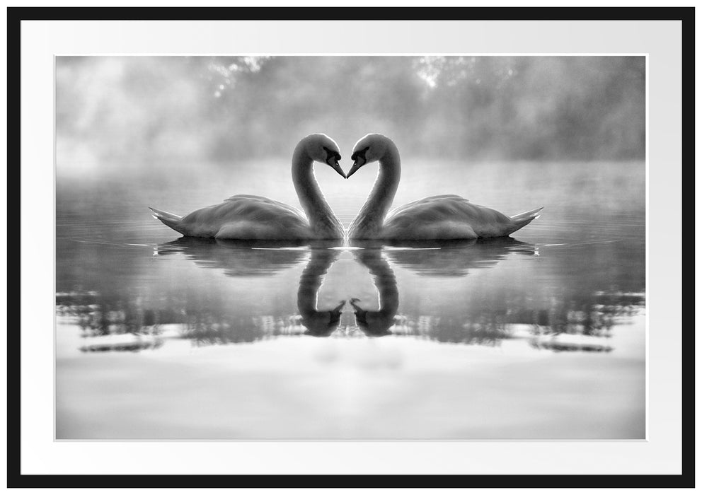 Pixxprint Verliebte Schwäne im Morgengrauen, im Galerie-Passepartout Bilderrahmen