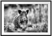 Stolzes Wildschwein im Wald Passepartout 100x70