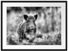 Stolzes Wildschwein im Wald Passepartout 80x60